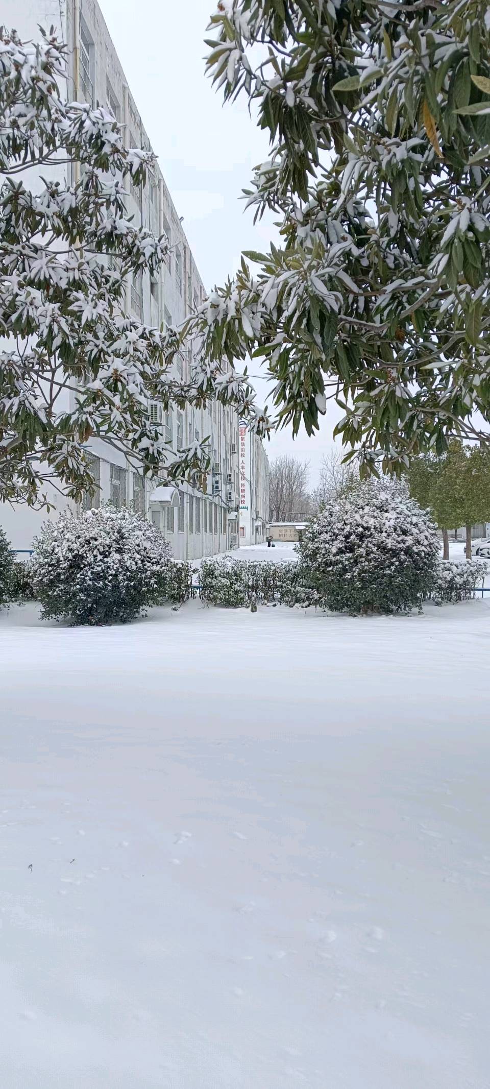 【荣耀中国】文学社*蝶恋花·雪作者/彭甫立 湖南（图2）