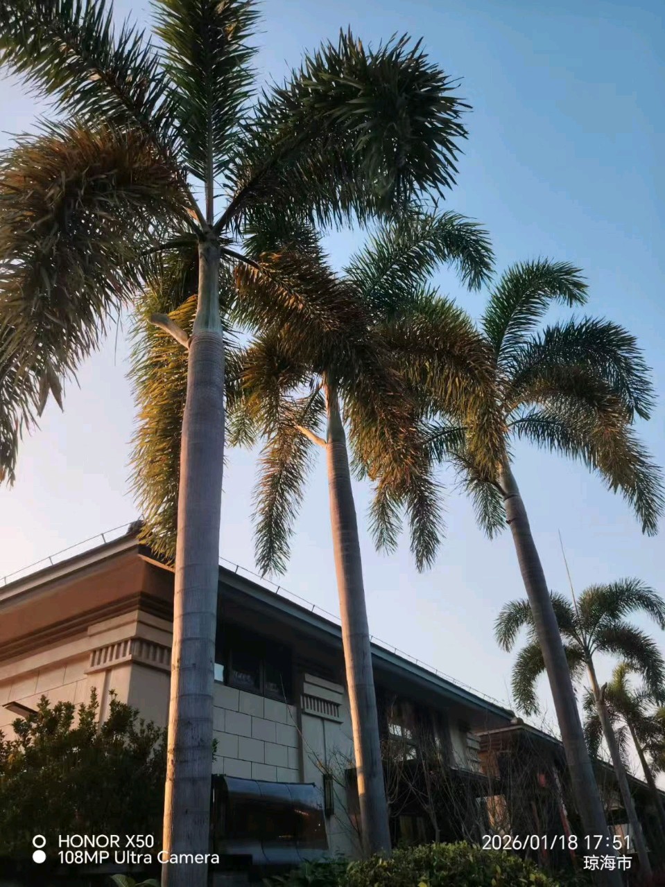 （连载之二）一生一事 一世一声 天南海北 用心抚琴 ——古琴老师紫檀假期祖国行掠影（海南行之二）