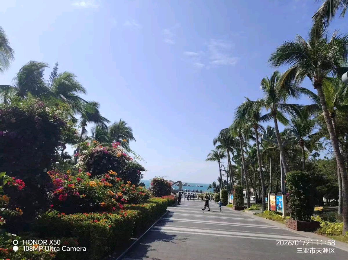 （连载之二）一生一事 一世一声 天南海北 用心抚琴 ——古琴老师紫檀假期祖国行掠影（海南行之二）（图13）