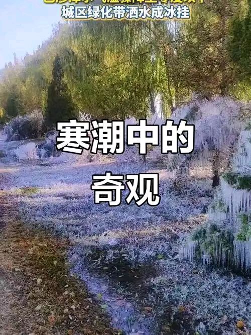 【荣耀中国】深圳分社*鹧鸪天.寒潮来袭感吟作者/戴建中（图2）