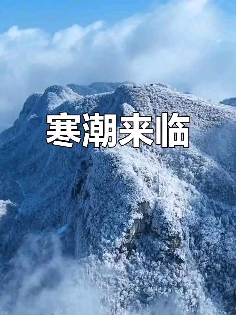 【荣耀中国】深圳分社*鹧鸪天.寒潮来袭感吟作者/戴建中（图4）