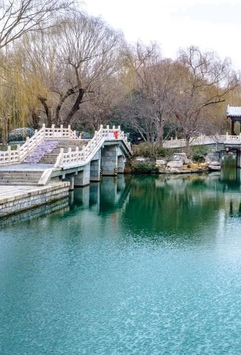 雪后大明湖❄（图4）