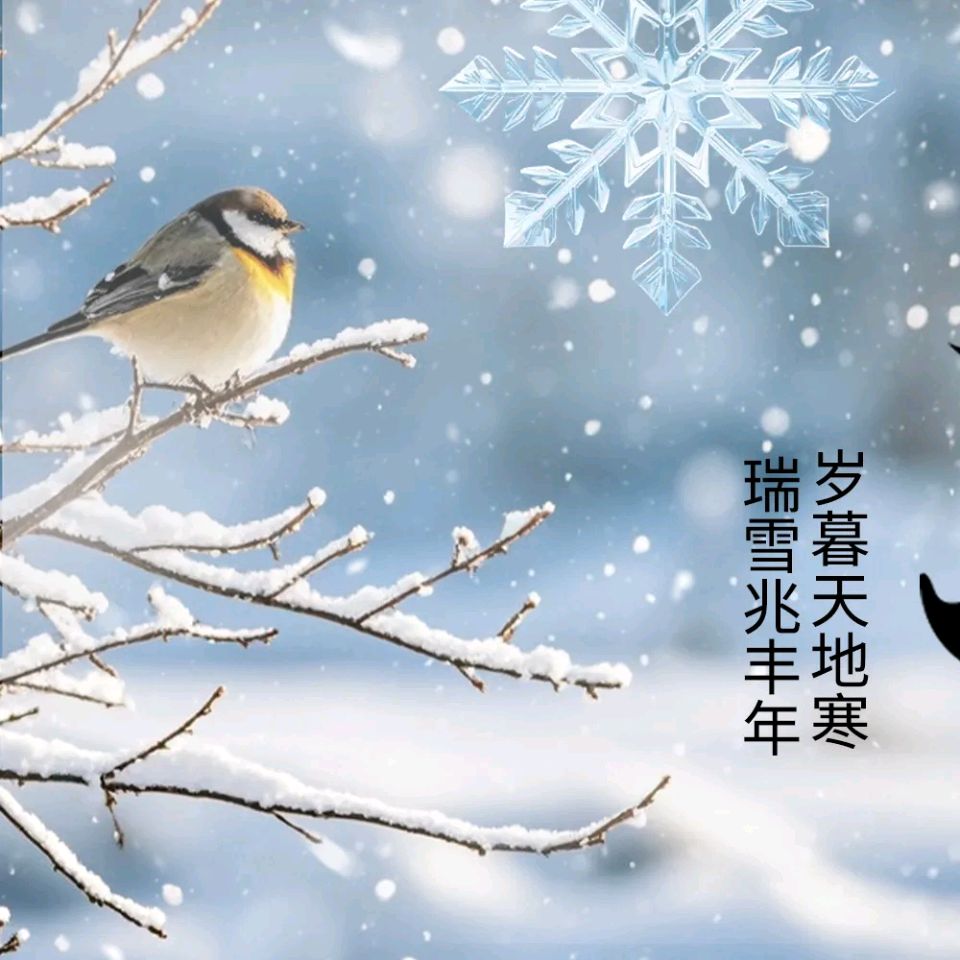 【新山东文学社】《搗链子.腊月即兴（六首）》作者/风鸽 主播/远方（图3）