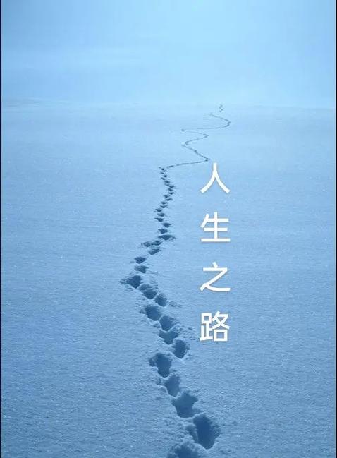 【新山东文学社】《人生的征途》作者/边风 主播/菊心拾雨（图3）