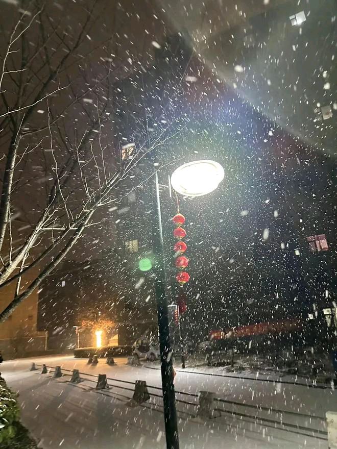 【新山东文学社】《今夜雪花漫天》作者/农夫 主播/墨兰(图3)