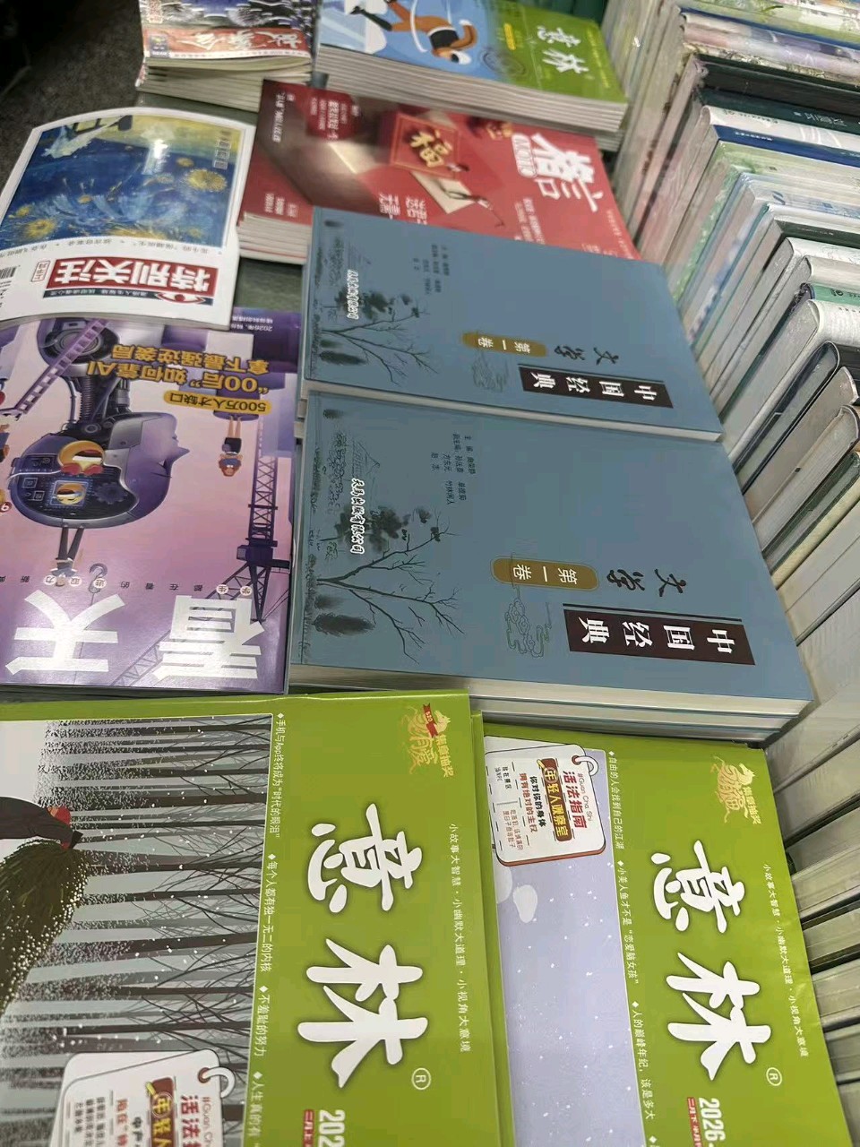 喜报 ‖知音识曲文学社《中国经典文学（第一卷）》全国重点市场铺货落地（图63）
