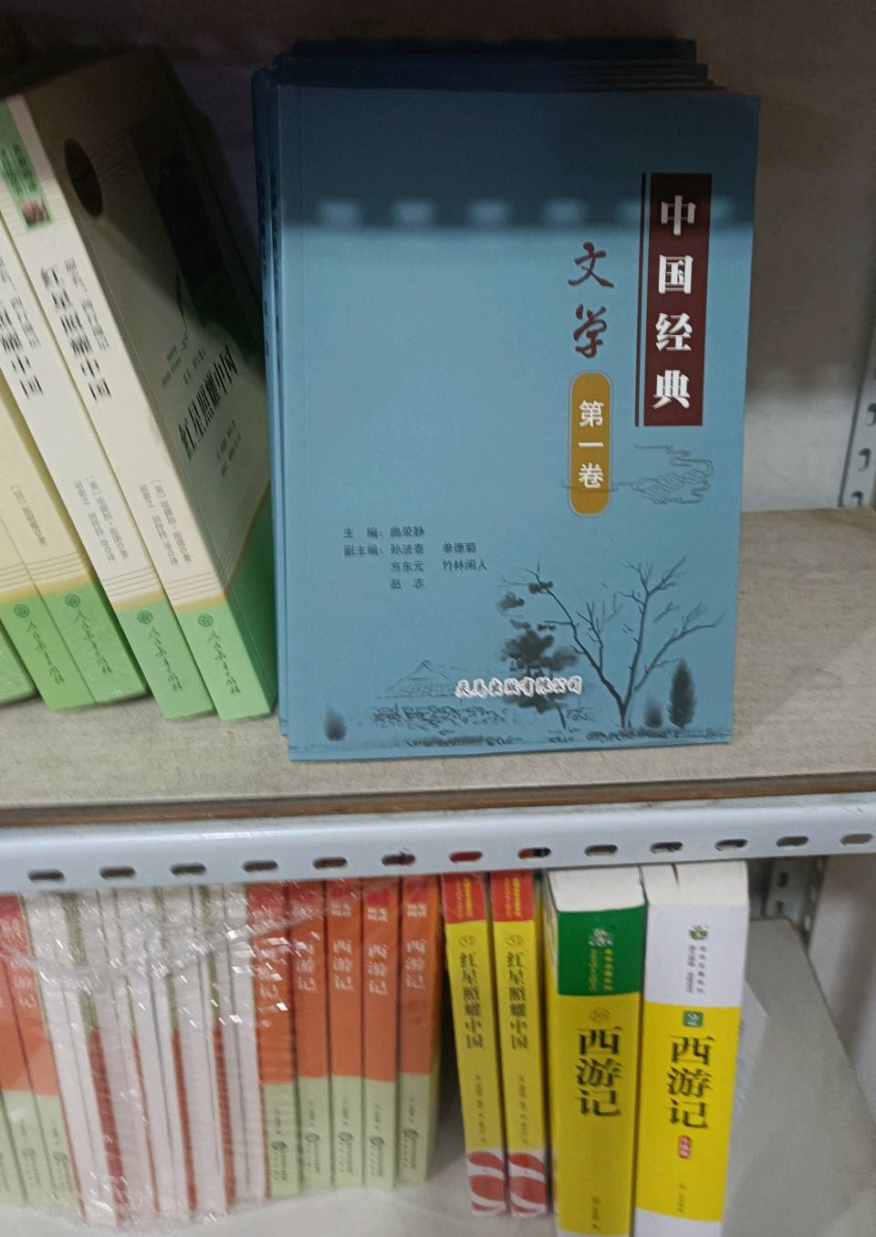 喜报 ‖知音识曲文学社《中国经典文学(第一卷)》全国重点市场铺货落地(图67)