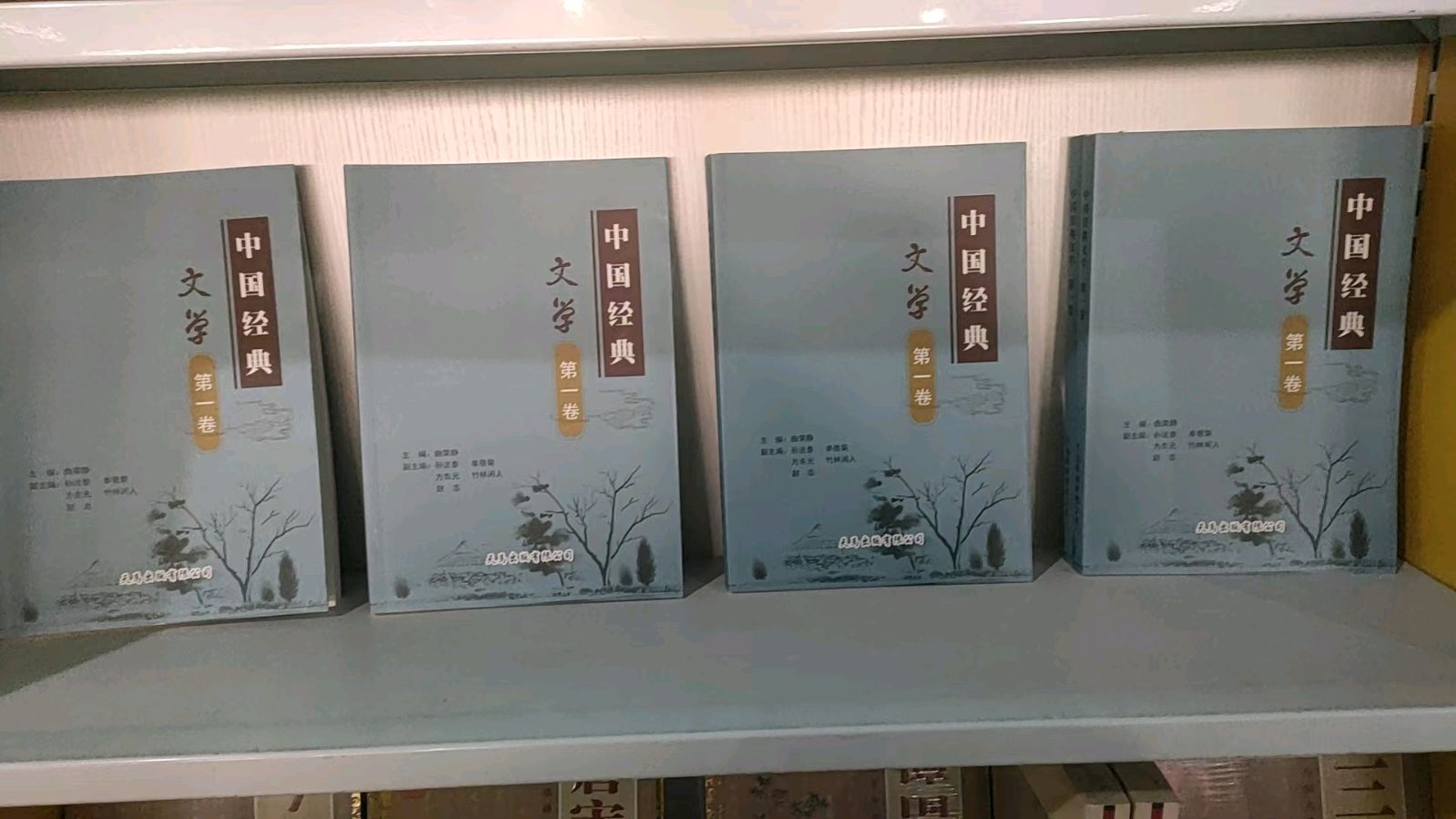 喜报 ‖知音识曲文学社《中国经典文学（第一卷）》全国重点市场铺货落地（图51）