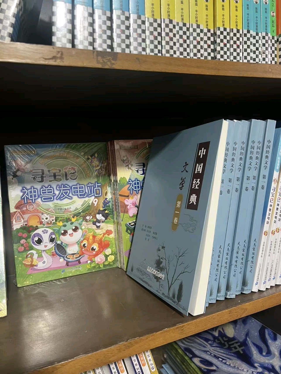 喜报 ‖知音识曲文学社《中国经典文学(第一卷)》全国重点市场铺货落地(图32)