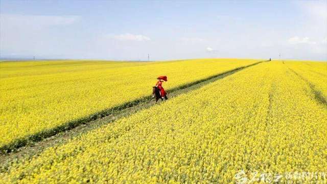 永远的贺娇龙‖巴彦诗协【1134】（图6）