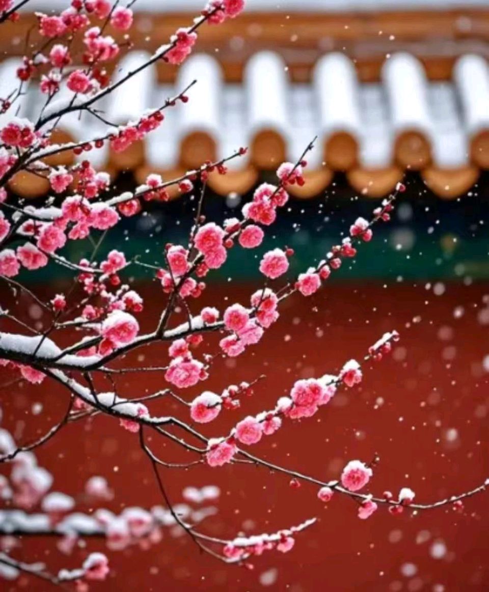 【上海头条】诗生活‖古韵飘香第283期：看图写诗（图10）