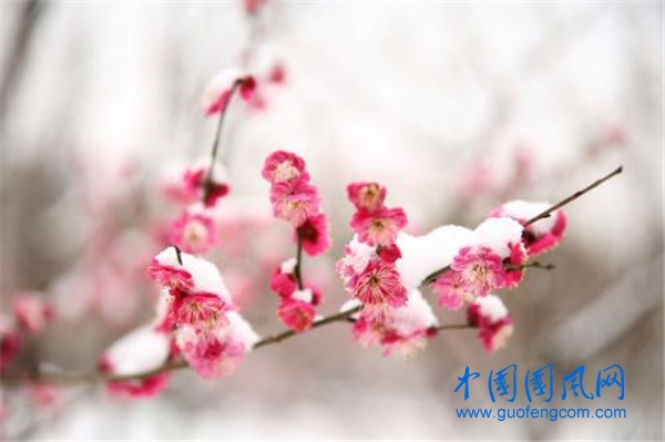 src=http___img.qqzhi.com_uploads_2018-11-29_065402849.jpg&refer=http___img.qqzhi.jpg