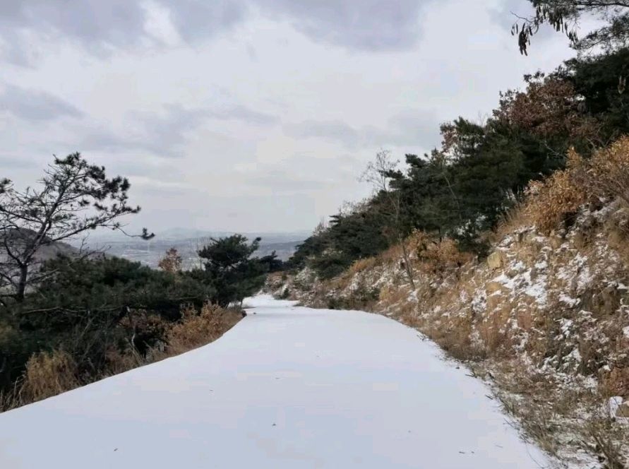 六汪文联格律诗社 雪霁铁橛山诗会（图3）