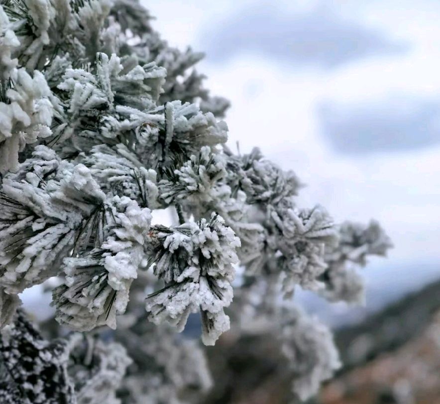 六汪文联格律诗社 雪霁铁橛山诗会（图4）