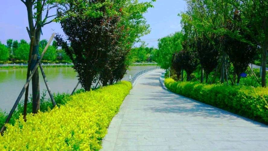 七排律/滨河四季景色怡人/王青霞（图3）