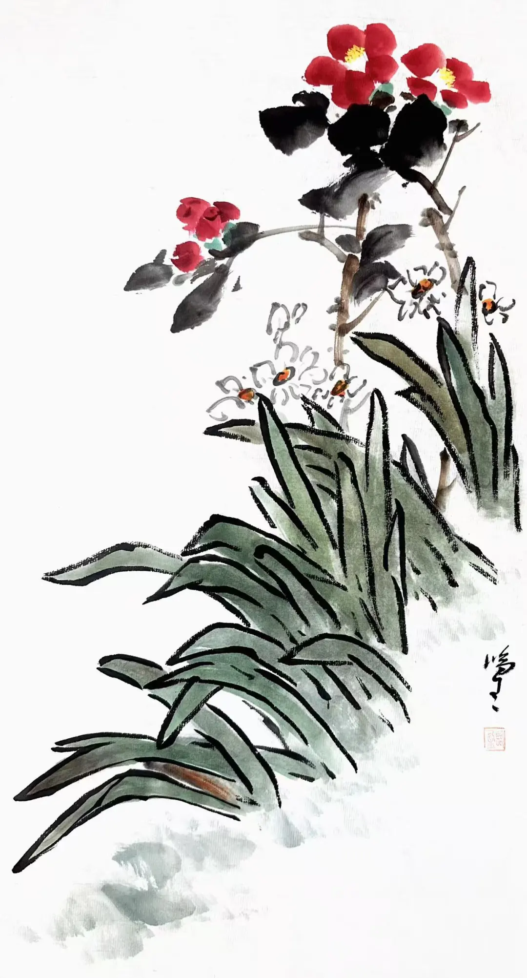 图片