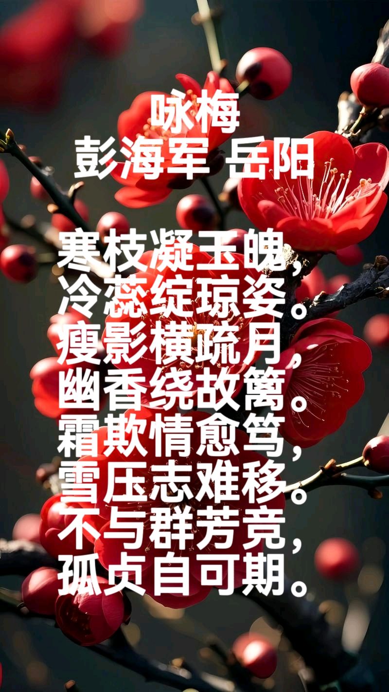 俏梅诗韵（图57）