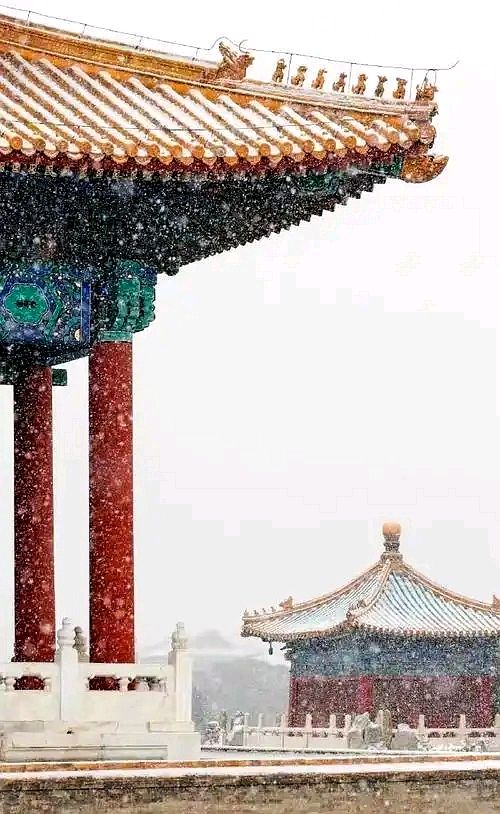 【聊聊下雪天儿】作者塘萍 朗诵者荣荣之荣（图2）