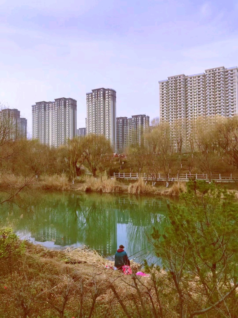 闲观垂钓者，徒有羡鱼情。（图3）