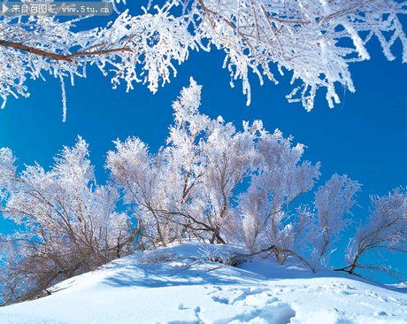冬天不是空白（16）||巴彦诗协【1142】（图10）