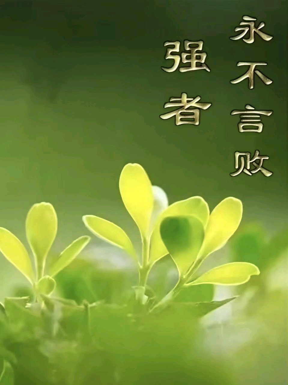诗和远方文学社第71期微刊展示（图31）