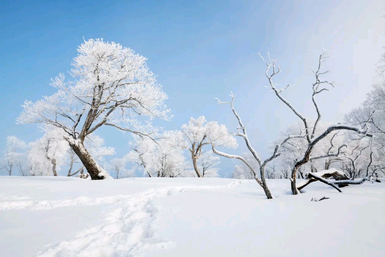 雪 小城小记之六 红榜作家 陈一龙（图5）