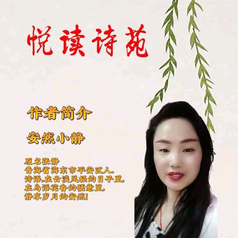 【锦瑟年华 诗酒飞花】作者安然小静 合诵文娟 东起 立平 知庸（图3）