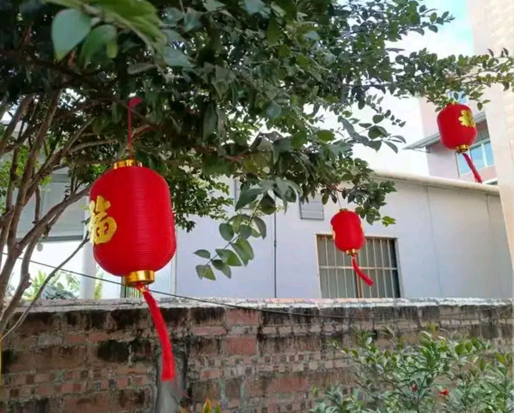 【荣耀中国】文学社*满江红◎古今迎春赋 (词林正韵) 王朝来/北京(图3)