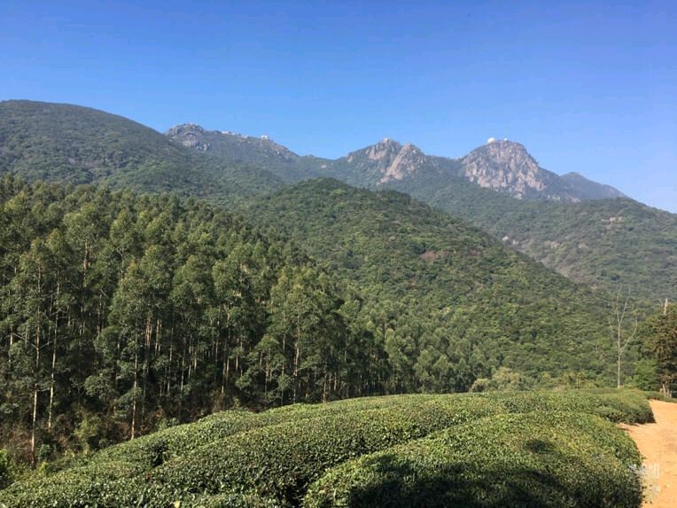 七律-大雾山～李宣财（福建）（图17）