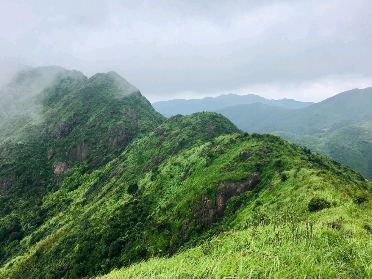 七律-大雾山～李宣财（福建）（图18）