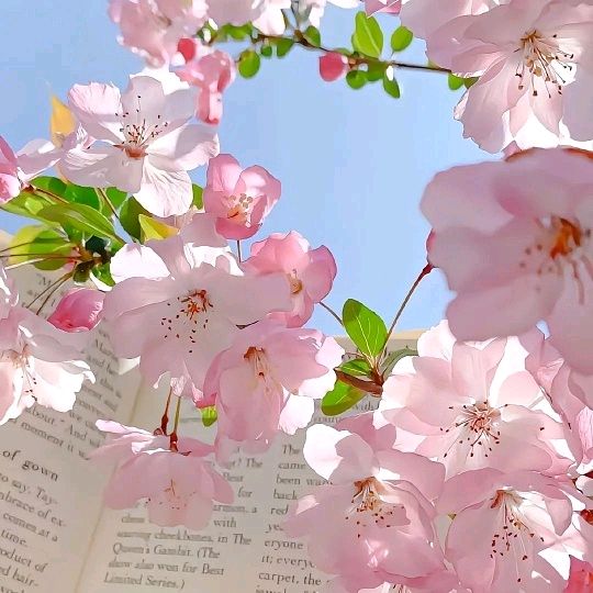 春之韵（外一首）/作者：尹连荣（图3）