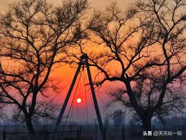 《五律•岁暮飞花》作者：郭小林 [中国现代诗歌文化传媒推荐]（图5）