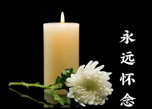 【七律】《沉痛悼念登科叔父》作者: 强军/陕西扶风（图7）