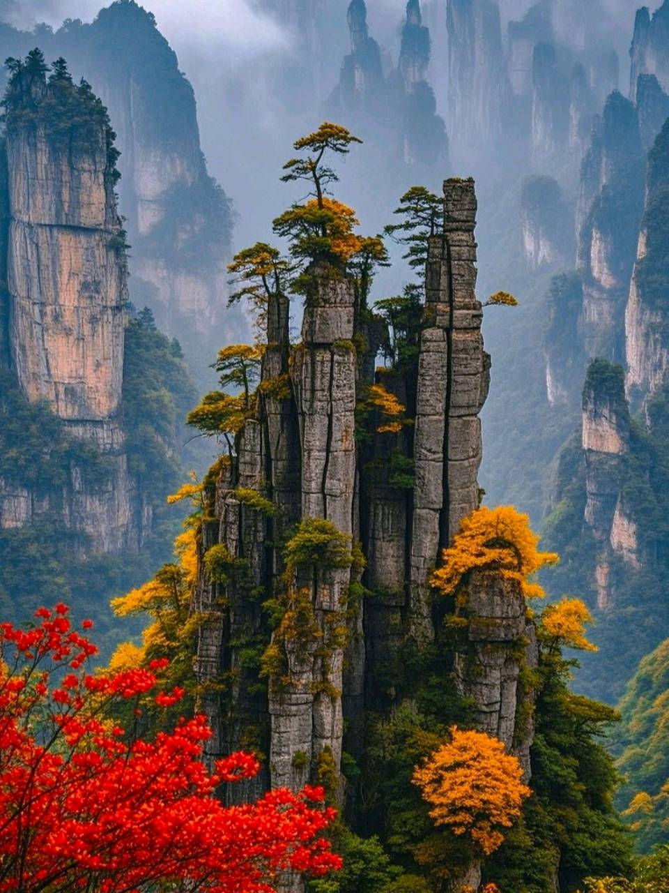 作家黄纯斌散文欣赏： 旧游张家界记