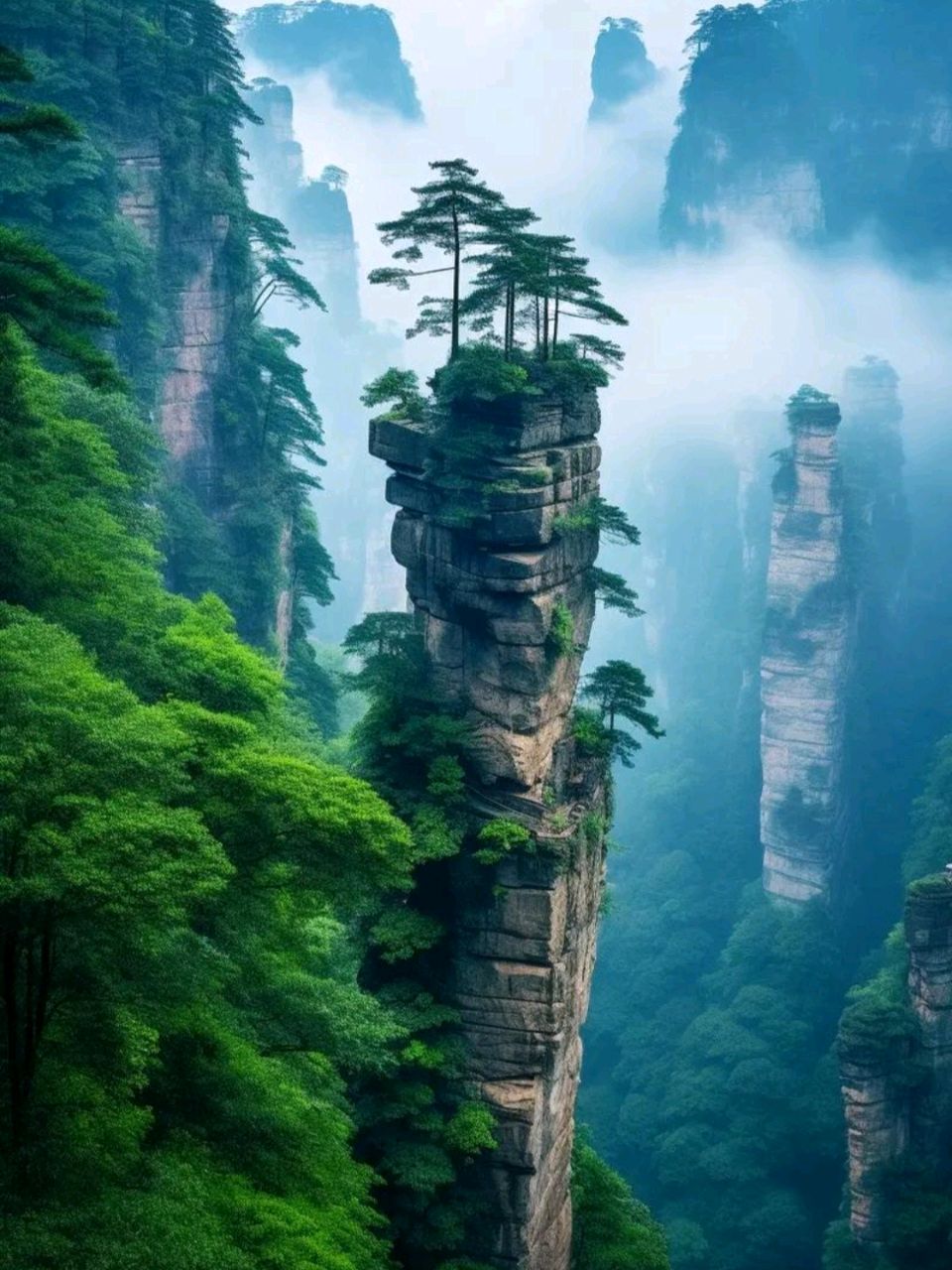 作家黄纯斌散文欣赏： 旧游张家界记（图3）