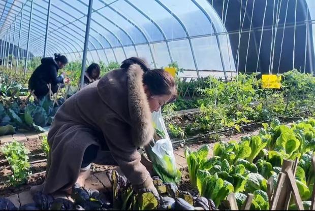 d37fd56d6cf7a63e05adf25ec825efb1