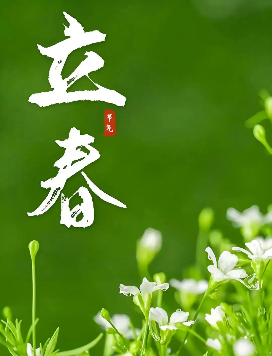 聆听 ‖ 琦琦赵朗诵《立春七绝八首》作者/吴万瑞（图9）
