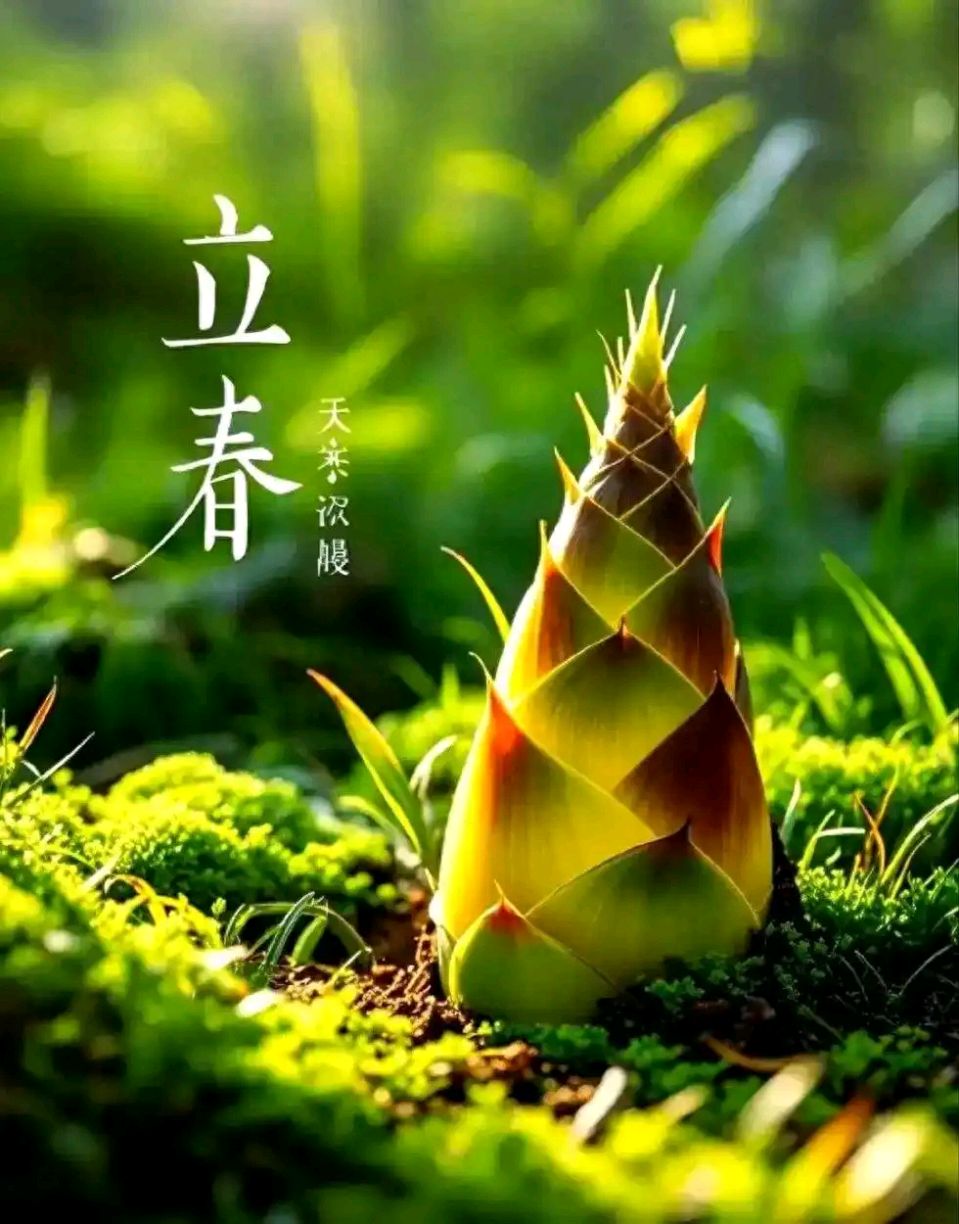 聆听 ‖ 琦琦赵朗诵《立春七绝八首》作者/吴万瑞（图7）