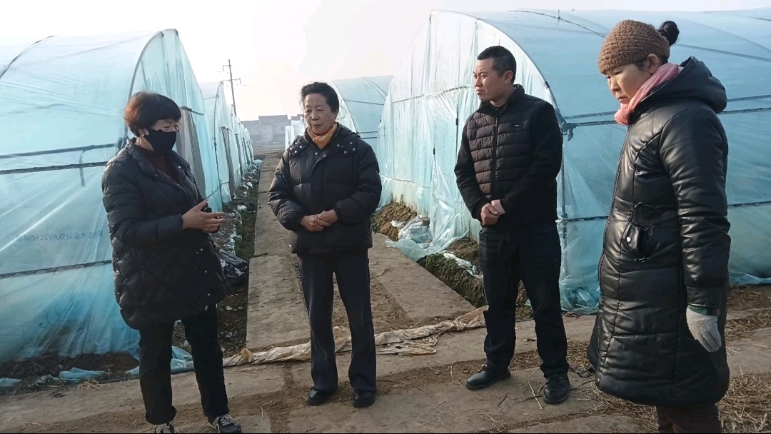志愿调研暖莓园 赋能产业助振兴