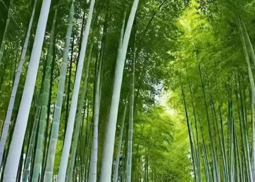 【上海头条】诗生活‖古韵飘香第285期：看图写诗（图9）