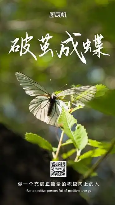 破茧·第一次作业||巴彦诗协【1148】（图24）
