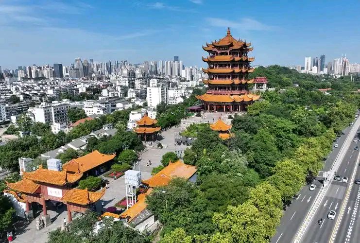 傲然屹立强国林‖作者‖迟焕东（图13）