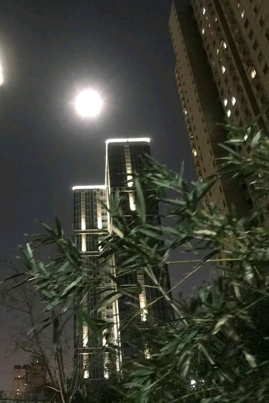 月明邀新年🌙（图2）