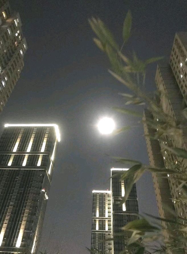 月明邀新年🌙（图7）