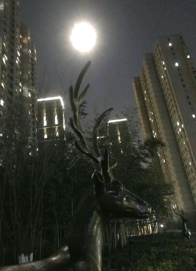 月明邀新年🌙（图6）