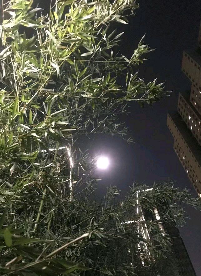 月明邀新年🌙（图4）