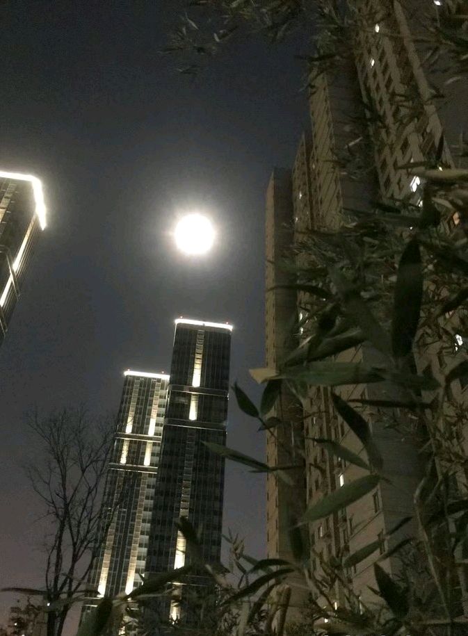 月明邀新年🌙（图5）