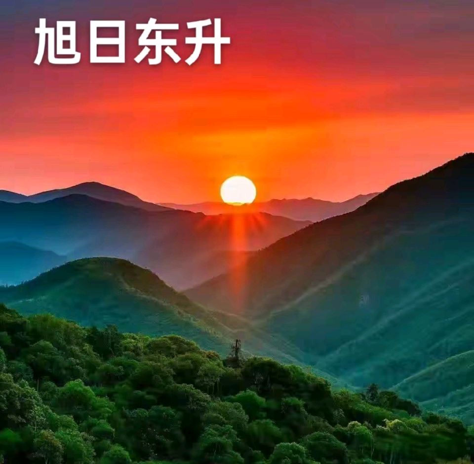 【豆蔻诗社】七言诗（古风）立 春——看近日新闻有感作者/梅楠梓（图3）