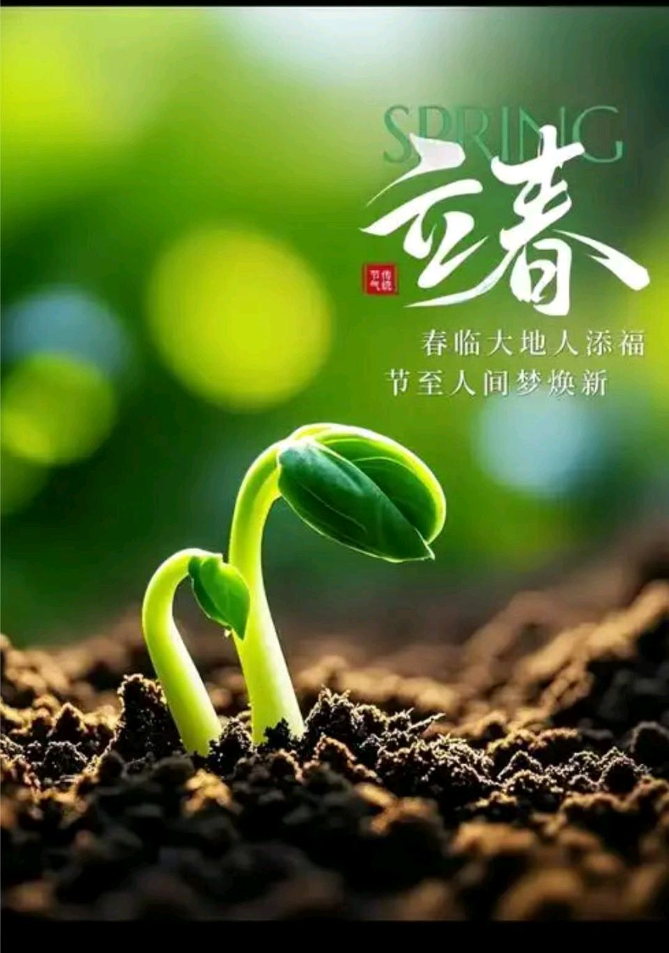 【湘漓诗苑】同题《立春》隆重推荐(图10)