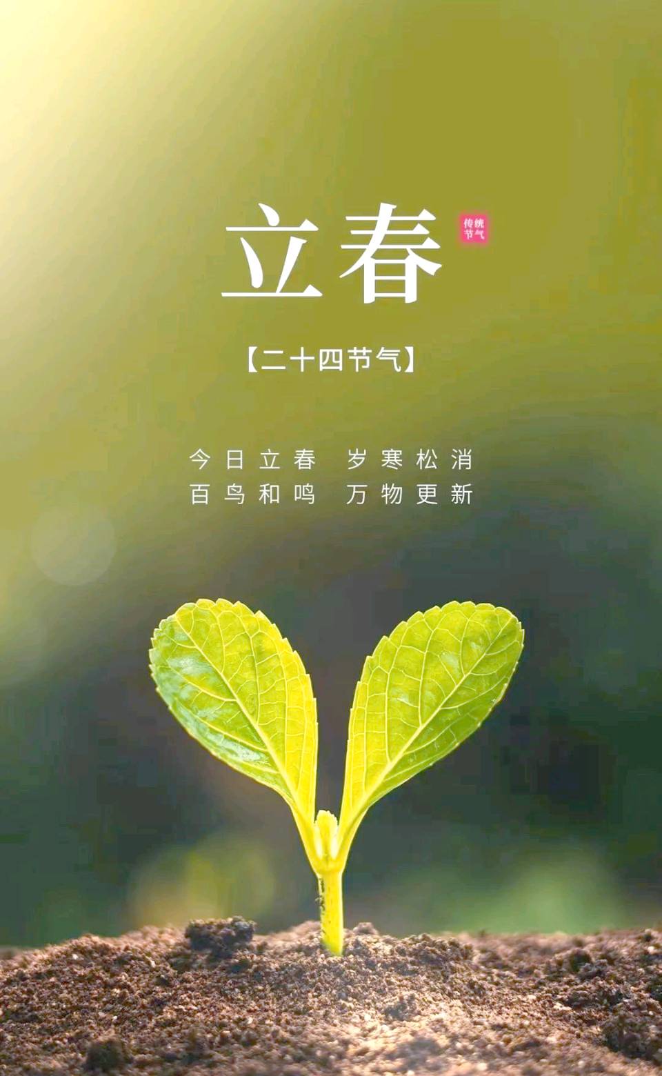 陕西诗人秦战萍《立春诗组欣赏》（图13）